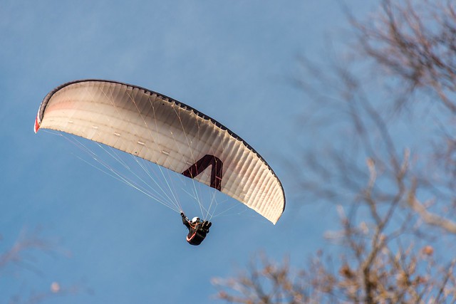 Paragliding 1
