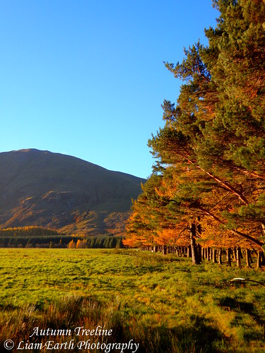 earth scotland glen valley landscape scenic sky trees bushes grass view walking hill colours textures picturesque tranquility field outdoor rocks nature mountains clova colour rock mountain orange blue bluesky