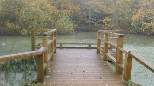 Duckboard Epping Forest