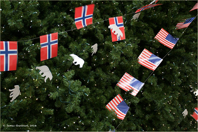 Norwegian & American Flags + Polar Bears