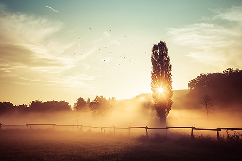 Herdecke Ende by tribalandre, herdecke ende sonnenaufgang sunrise sky grass tree himmel gras baum