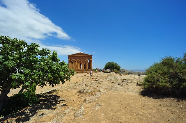 Valle dei Templi, Agrigento, Sicily 2014 092