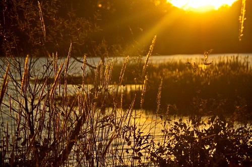 sunset lake water landscape southcarolina upstatesc