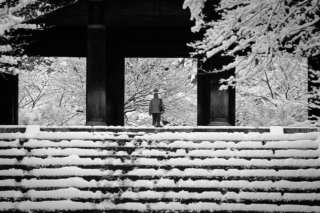 entering the Shinto gate