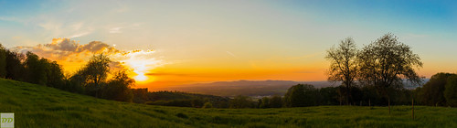 What do you want more? by Dominik Dilger, trees sunset summer sky panorama sun colors clouds forest canon germany landscape outside sonnenunte