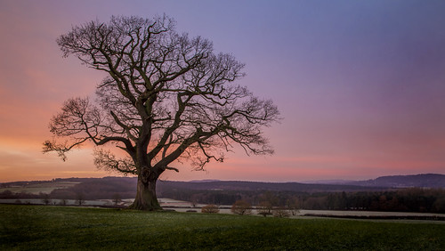 Sunrise by stephenspencer1973, Catching sunrise at a different spot, near Highgate Common...