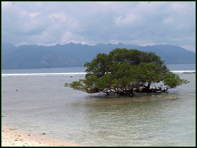 Gili Trawangan- Lombok- Indonésie- Indonesia