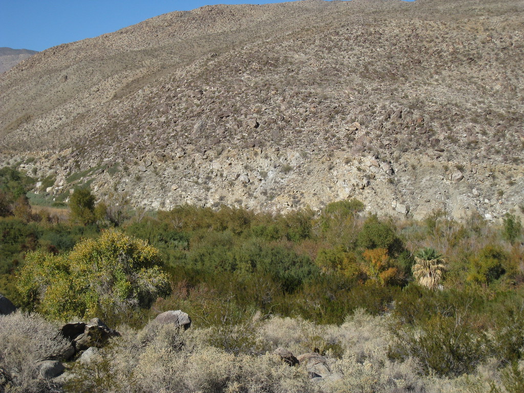 Ocotillo Trail