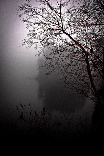 Fog Mourn | by crippled_broken