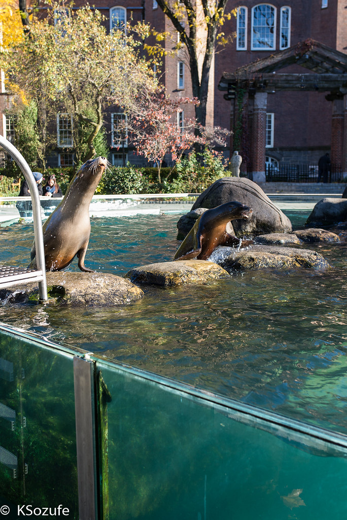 Central Park | Seals of NY | ksozufe | Flickr