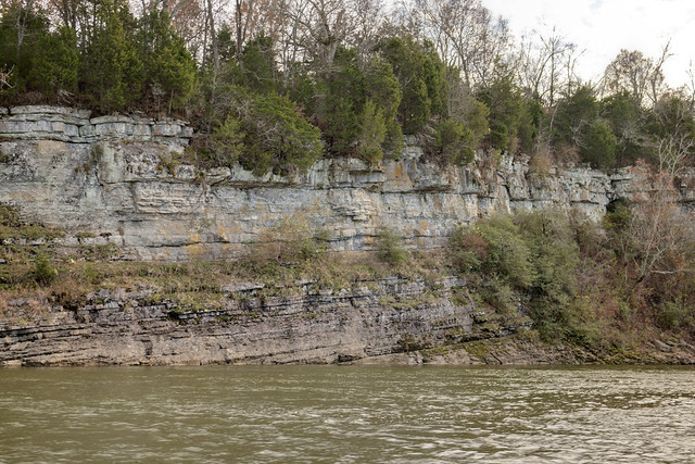 Nashville Group; Bigby-Cannon Limestone and Hermitage Formation, Cumberland River, Nashville, Tennessee