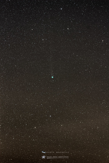 The Sexy Comet Q2 Lovejoy