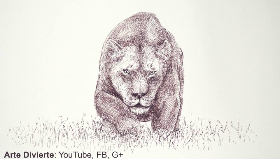Cómo dibujar una leona | Mira el video en éste enlace: youtu… | Flickr