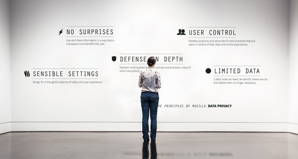 An adult white woman wearing a black dotted white shirt and jeans stands facing a white wall with black text. The text lists and describes the five data privacy principles by Mozilla: sensible settings, no surprises, defense in depth, user control, and limited data.