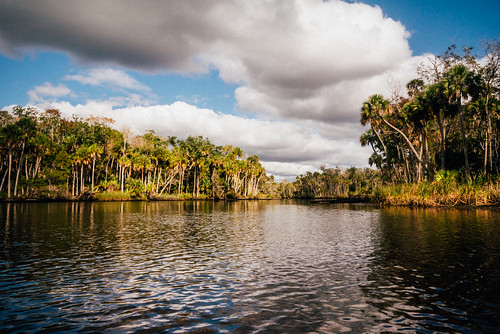 wild color green nature water clouds river landscape colorful florida outdoor palm boating tropical naturalbeauty paddling v1 waterway gulfcoast citruscounty nikon1 wildneress mirrorless thechaz chassahowitzka vsco