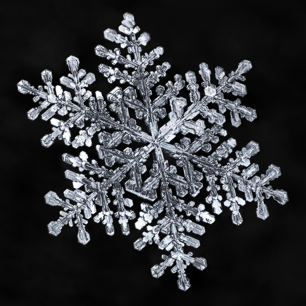 snowflake, snow, flake, ice, crystal, nature, fractal, winter, macro, froze...