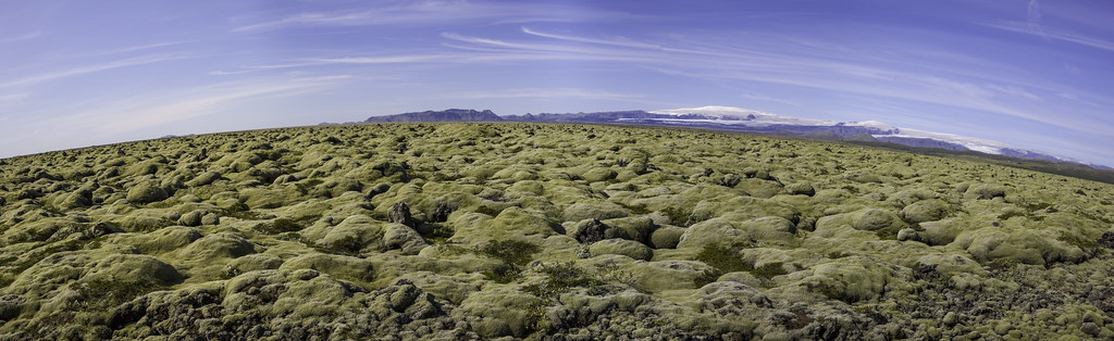 Eldhraun lava field, Iceland