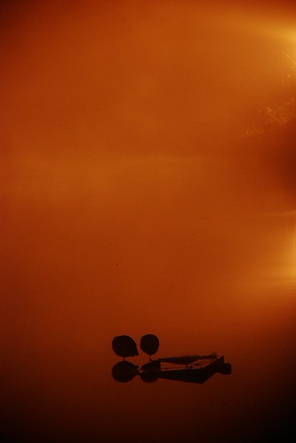 BCR sous le brouillard by Lancelot Pierre, france briecomterobert bcrbrouillardchateau