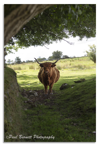 Stand off | by paulburnett88