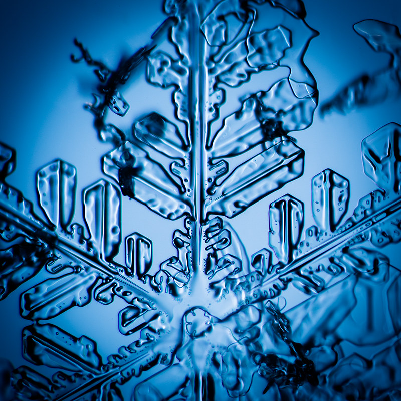 Snowflake.2014.11.21.5
