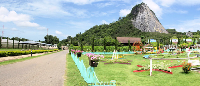 Silverlake Vineyard, Jomtien, near Pattaya and Khao Chee Jan Mountain,Thailand.