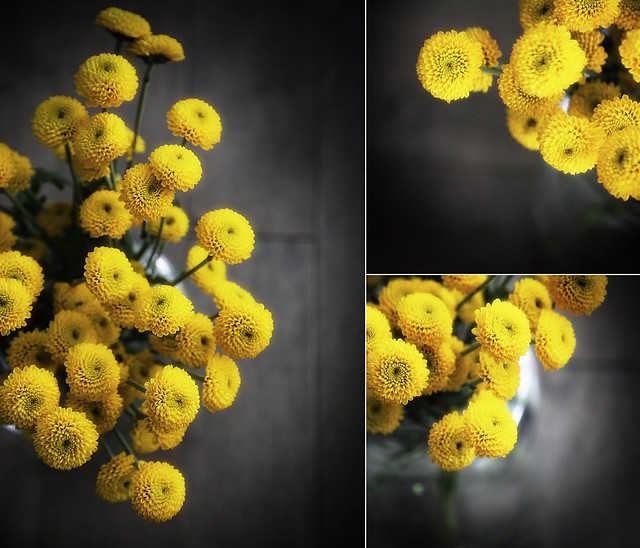 yellow pompom flowers-forget their name...
