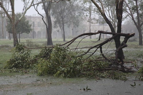Storm damage at UQ's St Lucia Great Court