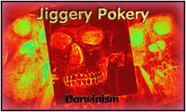 Jiggery Pokery - Darwinism