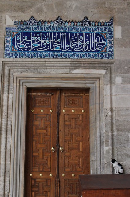 cat-and-mosque-door
