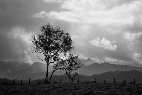 sky sun mountains tree monochrome silhouette skyline clouds rural countryside blackwhite raw view country australia hills caldera nsw newsouthwales lightroom murwillumbah northernrivers canon7d thecougals bakersroad