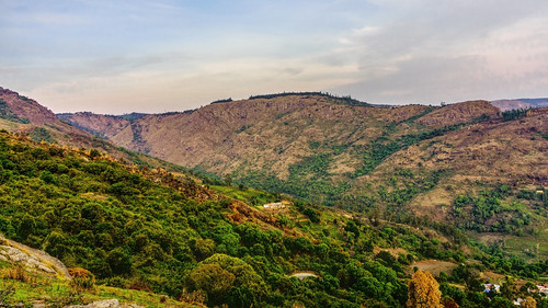 old india green yellow landscape village archive hdr tamilnadu ooty thenilgiris