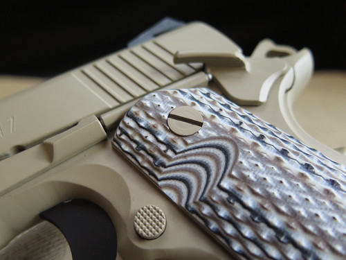 Springfield Marine CQB | by hawkeyesyndicate