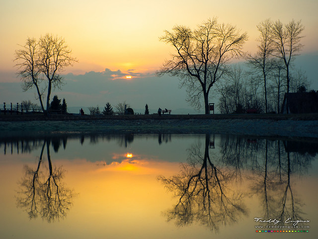 Golden lake sunset