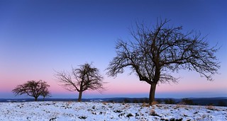 winter sunset - purple and blue