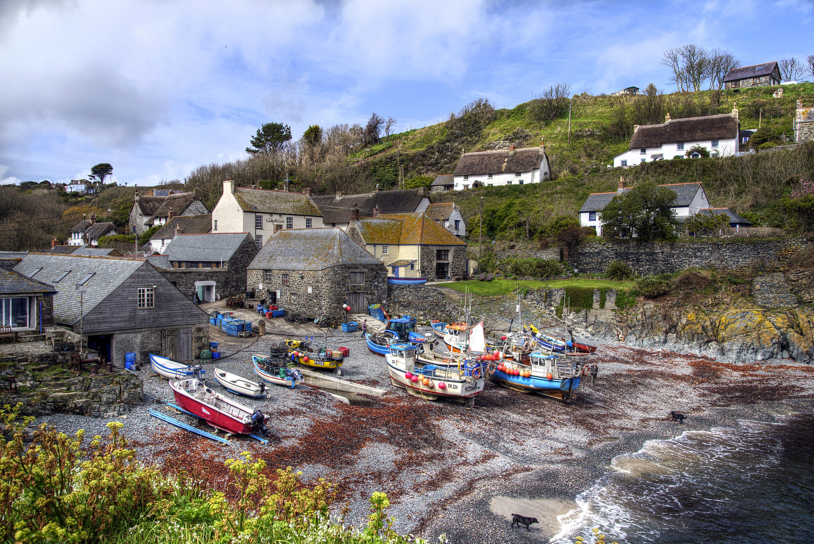 Cadgwith Cove.