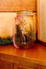 Reindeer in a jar!