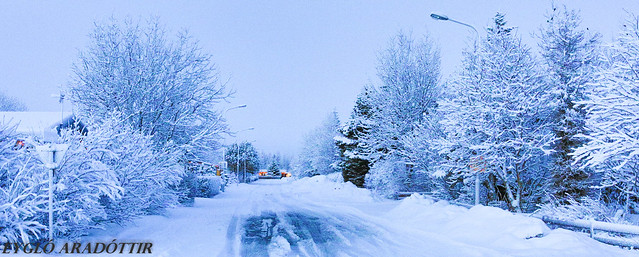 Winter wonderland in Selfoss Newyearsday 2015 / ævintýraland á Selfossi