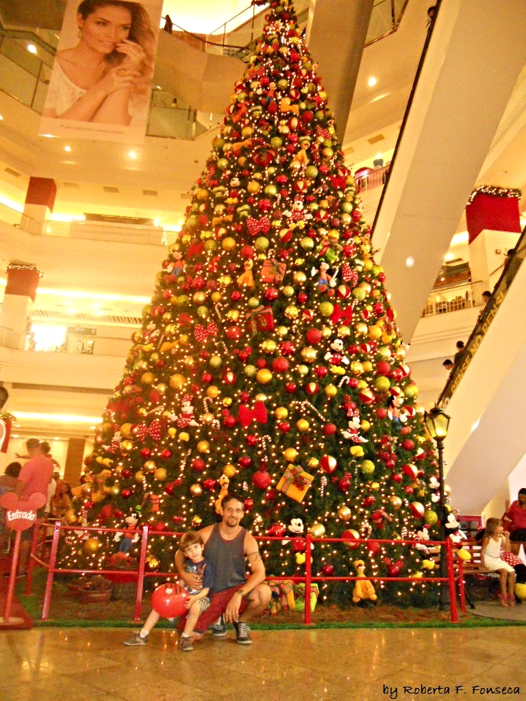 Linda Árvore de Natal no Plaza Shopping Niterói, Rio de Ja… | Flickr