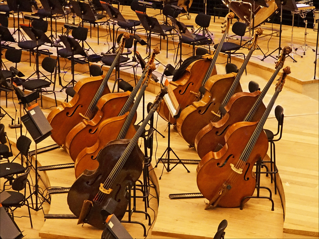 Les contrebasses (grande salle de la Philharmonie de Paris)