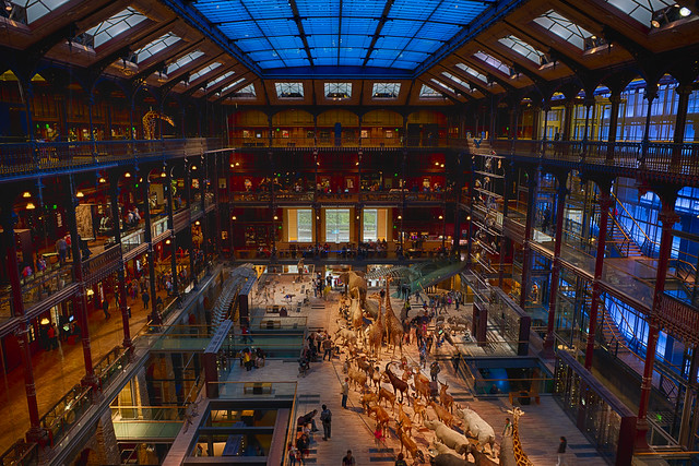 Museum of natural history in Paris