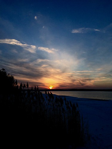 Cold Sunday by koriography, 