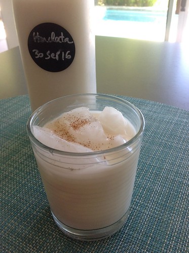 Horchata with rice, almonds, coconut, cinnamon | by *FrogPrincesse*