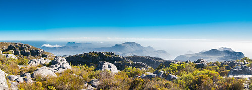 Cape Town