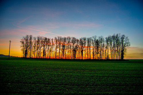sunrise tree france landscape champs country colors couleurs sun soleil nancy