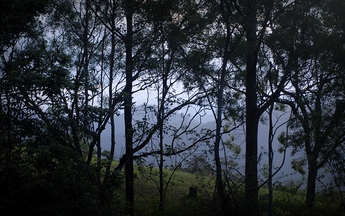 landscape silhouettes hillside tamborinemountain sequeensland queensland australia australianlandscape mounttamborine