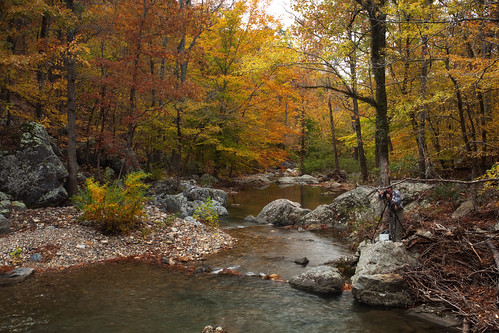 november autumn mountains color fall creek forest canon lens eos zoom mark clayton wells foliage national ii 5d usm ef 1740mm crooked ouachita 2014 f4l img9434 rashofdeaths
