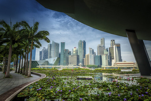 Marina Financial Centre, Singapore by ~trigger_happy~, marina sunrise wow bay pond singapore lily brilliant