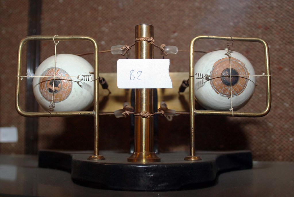 Binocular Vision Demonstration Apparatus