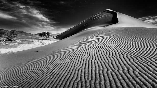 Day2: #FiveDayBlackAndWhiteChallange-Sand Dunes of Sossusvlei