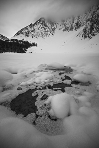 Delicate | by Darren Umbsaar